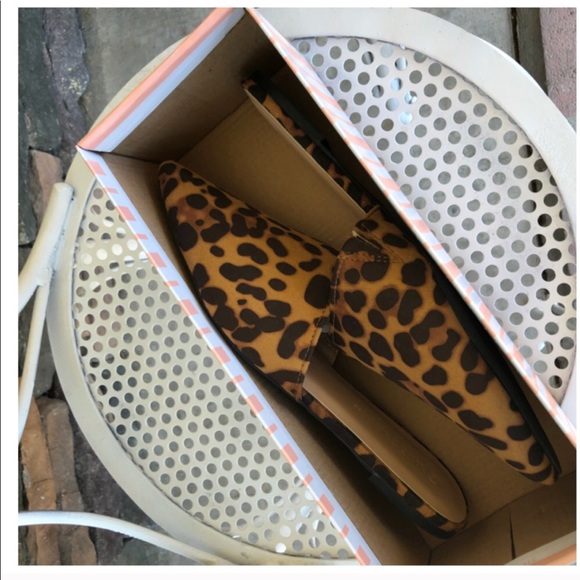 New Arrival- Leopard Mules, Flats - Picture 4 of 4